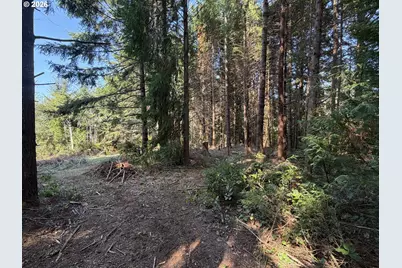 Clear Lake Rd, Florence, OR 97439 - Photo 10