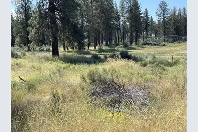 S. Chiloquin Road #100, Chiloquin, OR 97624 - Photo 2