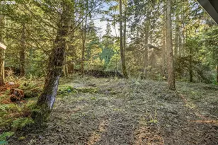 56965 McKenzie Hwy, McKenzie Bridge, OR 97413 - Photo 26