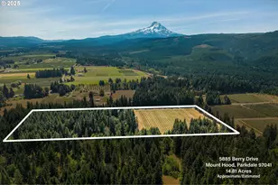 5885 Berry Rd, Mount Hood Prkdl, OR 97041 - Photo 10
