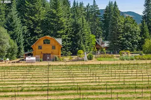 5885 Berry Rd, Mt Hood Prkdl, OR 97041 - Photo 38