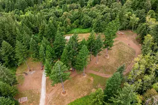 13901 Washougal River Rd, Washougal, WA 98671 - Photo 34