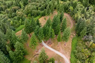 13901 Washougal River Rd, Washougal, WA 98671 - Photo 36