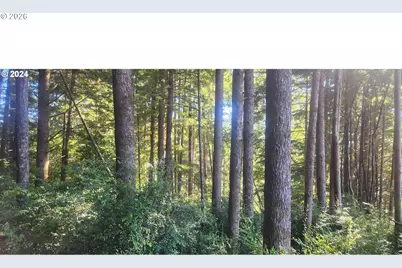 800 Masters Ct, Reedsport, OR 97467 - Photo 8