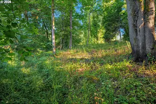 3800 SW Rodlun Rd, Gresham, OR 97080 - Photo 42