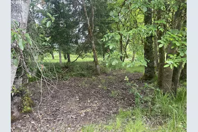 38102 Queens Rd, Marcola, OR 97454 - Photo 42