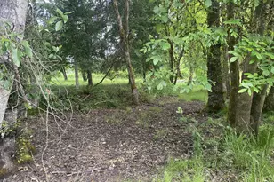 38102 Queens Rd, Marcola, OR 97454 - Photo 42