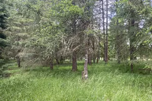 38102 Queens Rd, Marcola, OR 97454 - Photo 40