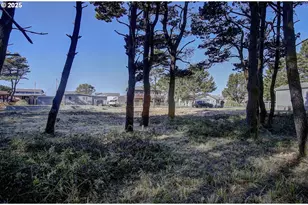 29908 H St, Ocean Park, WA 98640 - Photo 8