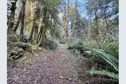 700 Sutton Creek Rd, Tillamook, OR 97141 - Photo 42