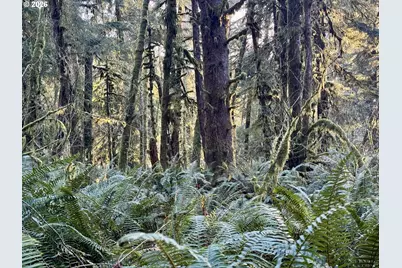 700 Sutton Creek Rd, Tillamook, OR 97141 - Photo 46