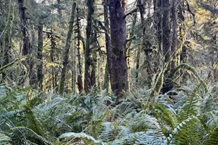 700 Sutton Creek Rd, Tillamook, OR 97141 - Photo 46