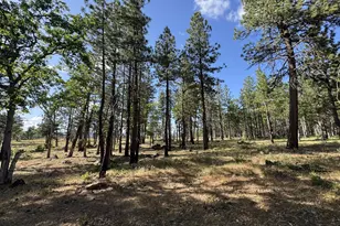 [Address not provided], Goldendale, WA 98620 - Photo 30