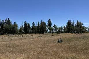 [Address not provided], Goldendale, WA 98620 - Photo 32