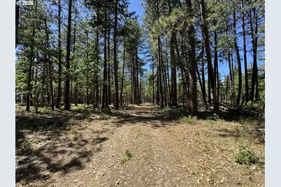 [Address not provided], Goldendale, WA 98620 - Photo 38