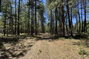 [Address not provided], Goldendale, WA 98620 - Photo 38