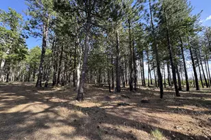 [Address not provided], Goldendale, WA 98620 - Photo 22
