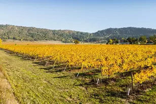 8690 Lookingglass Rd, Roseburg, OR 97471 - Photo 42