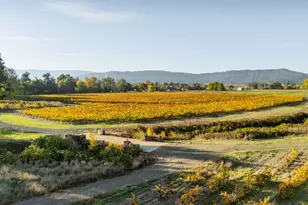 8690 Lookingglass Rd, Roseburg, OR 97471 - Photo 46