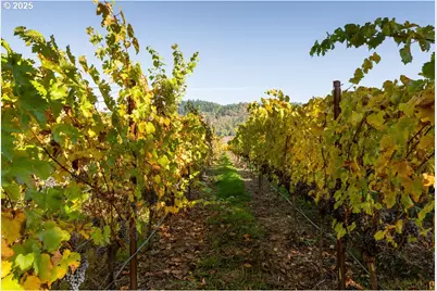 8690 Lookingglass Rd, Roseburg, OR 97471 - Photo 36