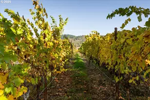 8690 Lookingglass Rd, Roseburg, OR 97471 - Photo 36