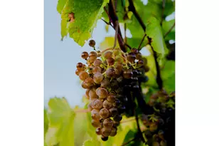 3455 Three Mile Rd, The Dalles, OR 97058 - Photo 30