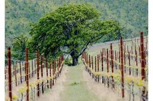 3455 Three Mile Rd, The Dalles, OR 97058 - Photo 36