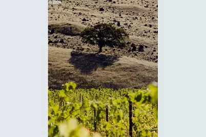 3455 Three Mile Rd, The Dalles, OR 97058 - Photo 44