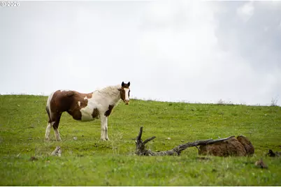3455 Three Mile Rd, The Dalles, OR 97058 - Photo 40