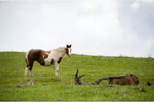 3455 Three Mile Rd, The Dalles, OR 97058 - Photo 40