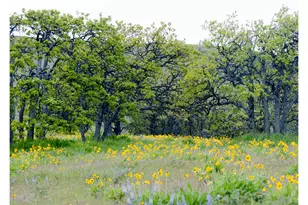 3455 Three Mile Rd, The Dalles, OR 97058 - Photo 42