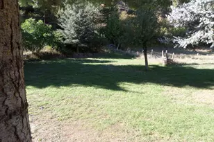 59075 Upper Imnaha Rver Rd, Imnaha, OR 97842 - Photo 10