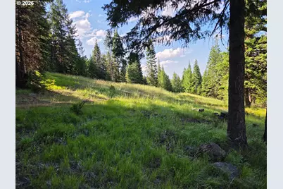 Divide Camp Rd, Joseph, OR 97846 - Photo 44