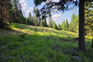 Divide Camp Rd, Joseph, OR 97846 - Photo 44