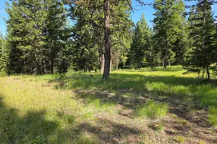 Divide Camp Rd, Joseph, OR 97846 - Photo 34