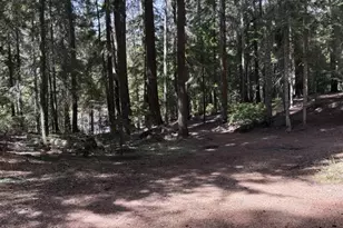 22745 Hwy 58, Crescent Lake, OR 97733 - Photo 40