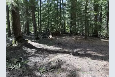 22745 Highway 58, Crescent Lake, OR 97733 - Photo 38