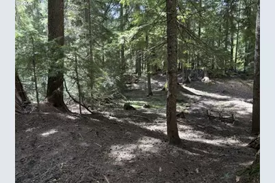 22745 Highway 58, Crescent Lake, OR 97733 - Photo 34