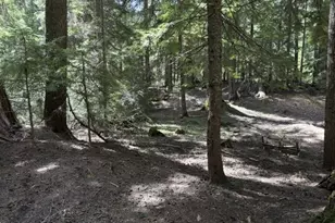 22745 Hwy 58, Crescent Lake, OR 97733 - Photo 34