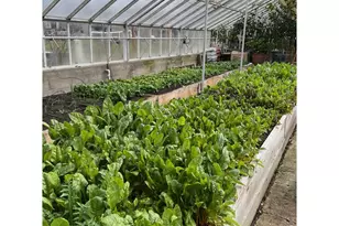 3937 SE Cousteau Dr, Salem, OR 97302 - Photo 24