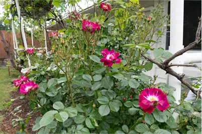 11842 SE Grant St, Portland, OR 97216 - Photo 44
