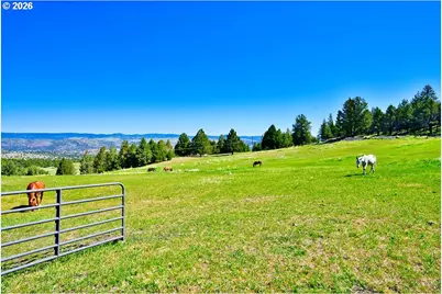 26008 Adam Rd, Canyon City, OR 97820 - Photo 4