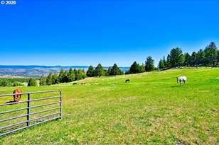 26008 Adam Rd, Canyon City, OR 97820 - Photo 4