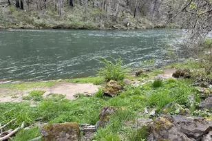 28664 N Umpqua Hwy, Idleyld Park, OR 97447 - Photo 46