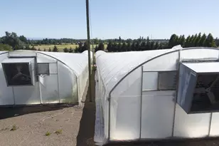 6205 SW Briar Patch Ln, Wilsonville, OR 97070 - Photo 10