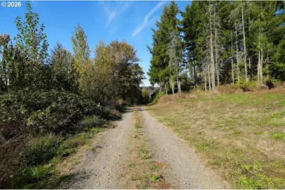 41284 Shindler Bridge Dr, Scio, OR 97374 - Photo 22