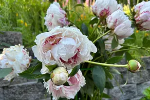 251 Mystery Dr, Amboy, WA 98601 - Photo 30