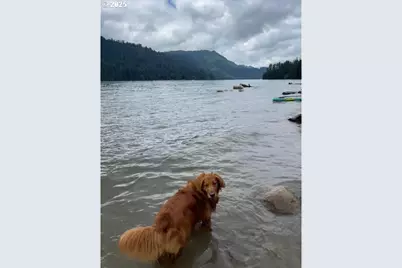 251 Mystery Dr, Amboy, WA 98601 - Photo 46