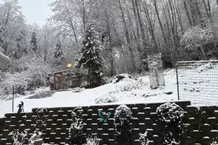 251 Mystery Dr, Amboy, WA 98601 - Photo 48