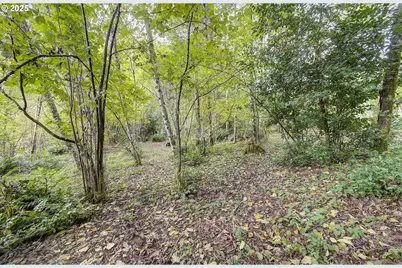 251 Mystery Dr, Amboy, WA 98601 - Photo 42